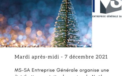 Distribution gratuite de sapins de Noël