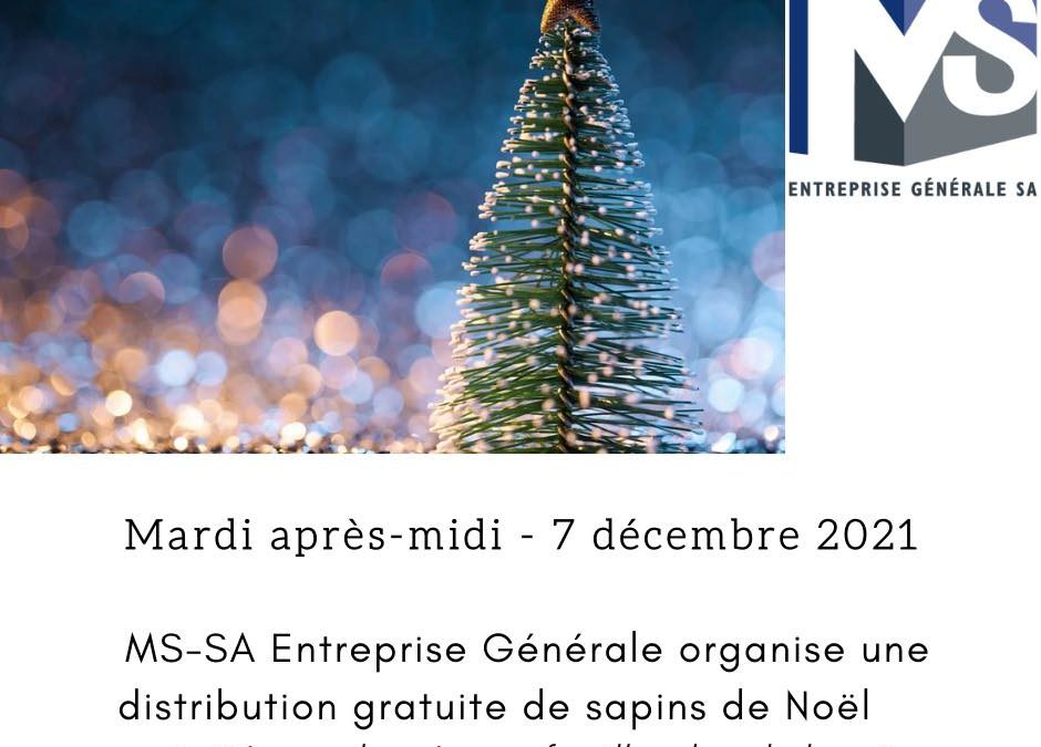 Distribution gratuite de sapins de Noël